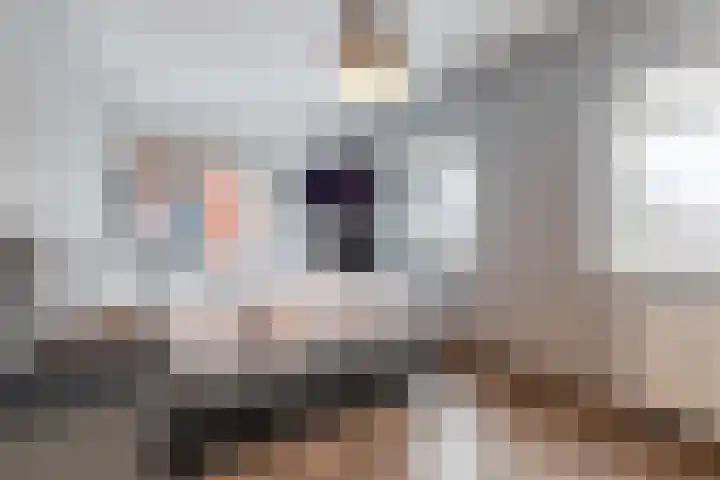 Sleutelbloem 27 Bodegraven thumbnail 28