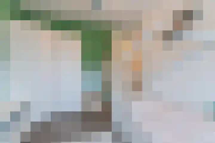 Sleutelbloem 27 Bodegraven thumbnail 34