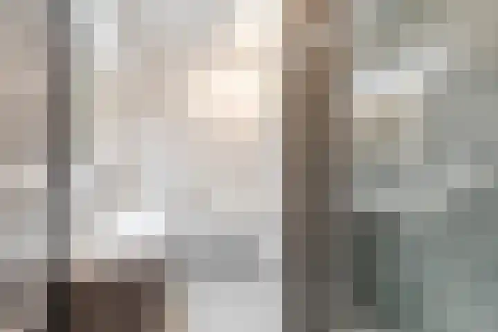 Sleutelbloem 27 Bodegraven thumbnail 39