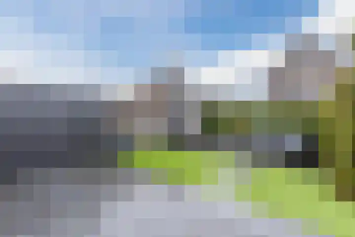 Sleutelbloem 27 Bodegraven thumbnail 4