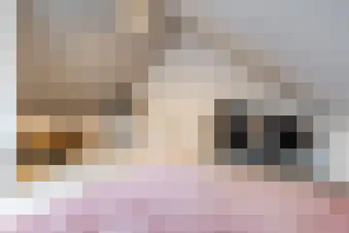 Sleutelbloem 27 Bodegraven thumbnail 47