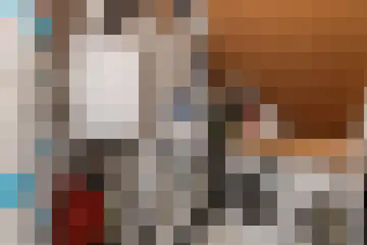 Sleutelbloem 27 Bodegraven thumbnail 48