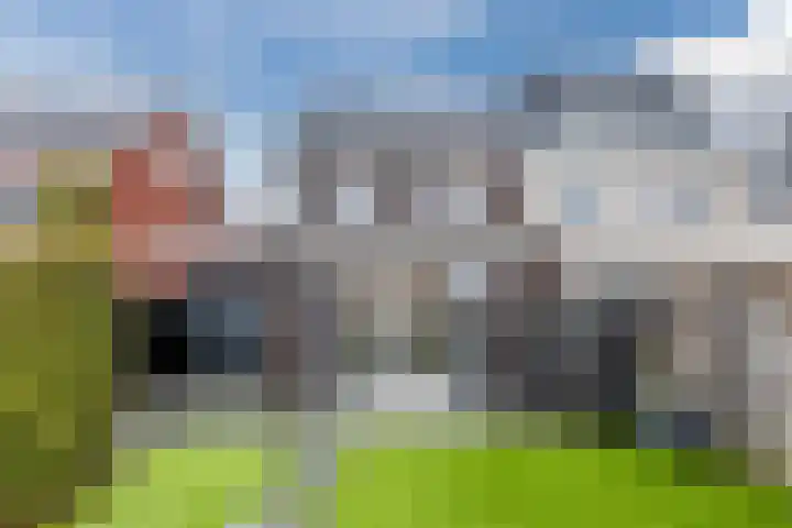 Sleutelbloem 27 Bodegraven thumbnail 5