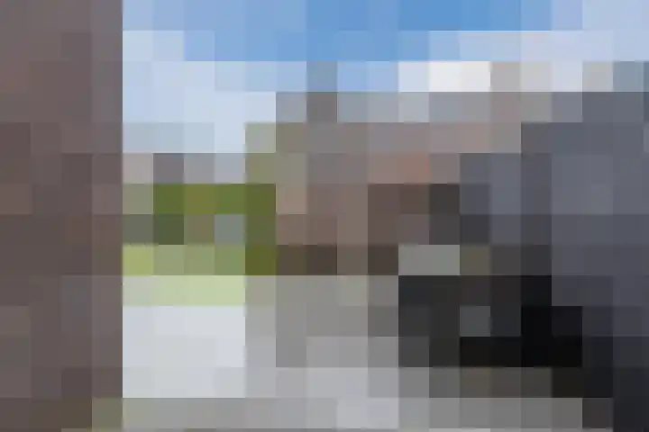 Sleutelbloem 27 Bodegraven thumbnail 51