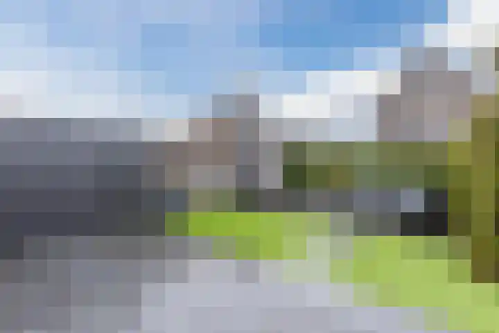 Sleutelbloem 27 Bodegraven thumbnail 53