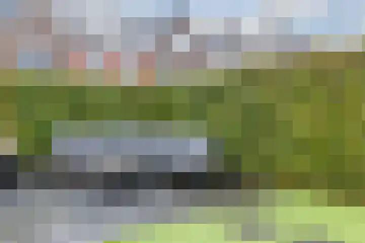 Sleutelbloem 27 Bodegraven thumbnail 54