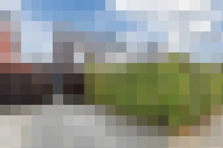 Sleutelbloem 27 Bodegraven thumbnail 58