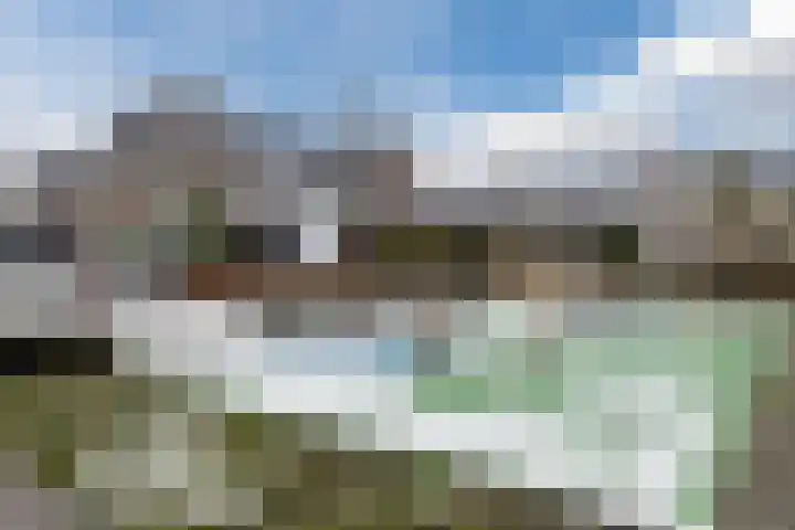 Sleutelbloem 27 Bodegraven thumbnail 60