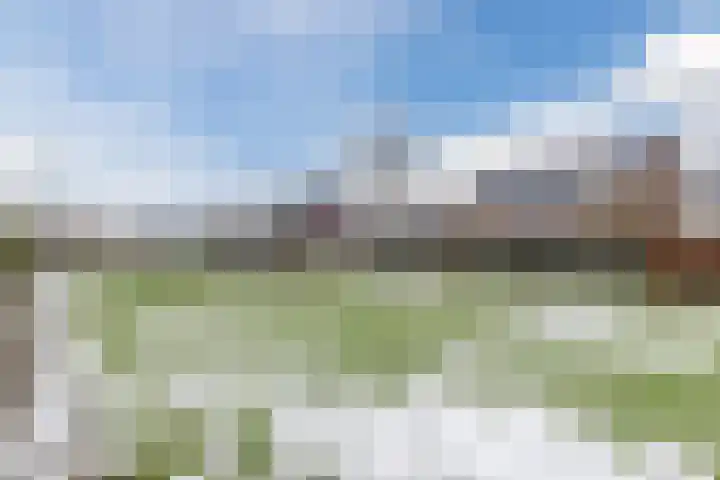 Sleutelbloem 27 Bodegraven thumbnail 61