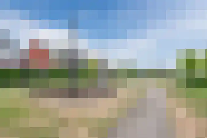 Sleutelbloem 27 Bodegraven thumbnail 62
