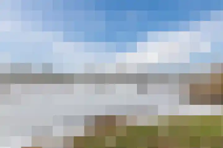 Sleutelbloem 27 Bodegraven thumbnail 63