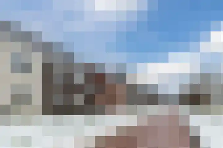 Sleutelbloem 27 Bodegraven thumbnail 8