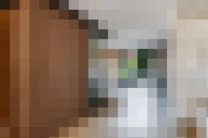 Sleutelbloem 3 De Meern thumbnail 17