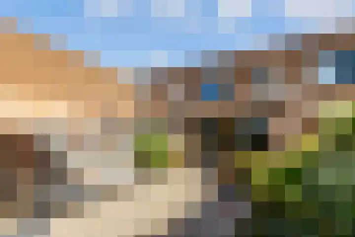 Sleutelbloem 3 De Meern thumbnail 30