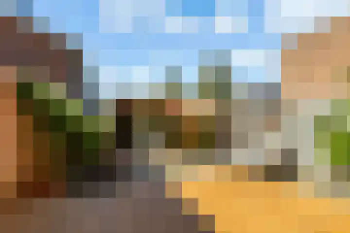 Sleutelbloem 3 De Meern thumbnail 32