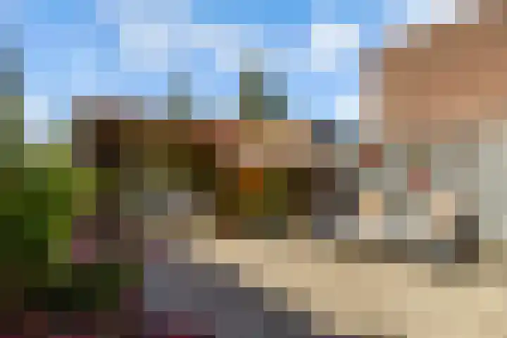 Sleutelbloem 3 De Meern thumbnail 33
