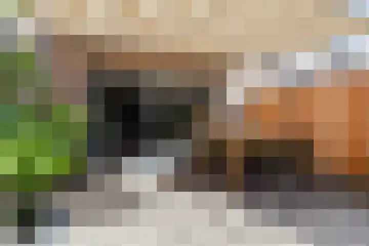 Sleutelbloem 3 De Meern thumbnail 39