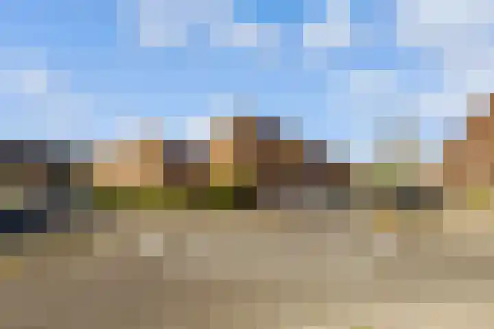 Sleutelbloem 3 De Meern thumbnail 43