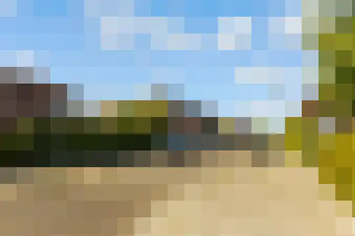 Sleutelbloem 3 De Meern thumbnail 44