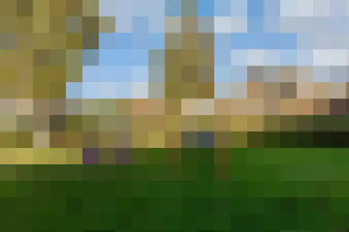 Sleutelbloem 3 De Meern thumbnail 45
