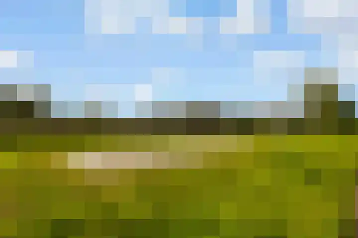 Sleutelbloem 3 De Meern thumbnail 47
