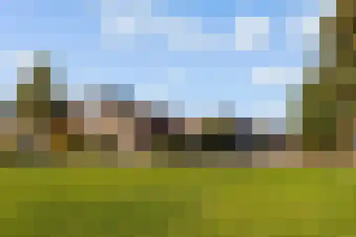 Sleutelbloem 3 De Meern thumbnail 48