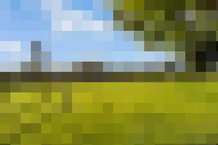 Sleutelbloem 3 De Meern thumbnail 49