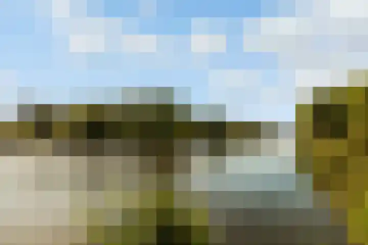 Sleutelbloem 3 De Meern thumbnail 50