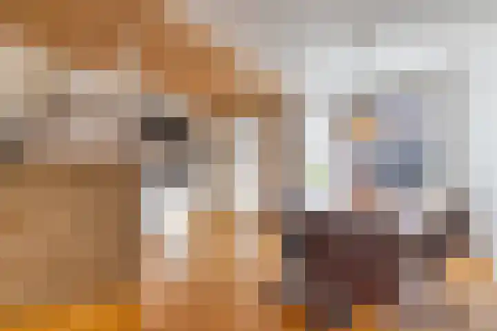 Sleutelbloem 31 Opmeer thumbnail 13