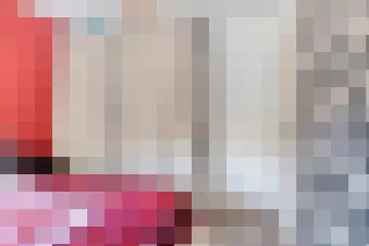 Sleutelbloem 31 Opmeer thumbnail 21