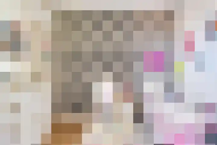 Sleutelbloem 31 Opmeer thumbnail 23