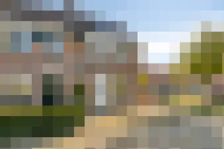 Sleutelbloem 31 Opmeer thumbnail 34