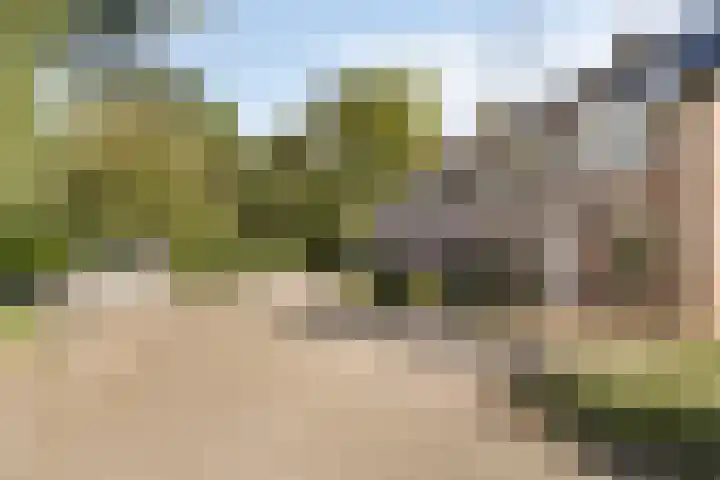 Sleutelbloem 31 Opmeer thumbnail 35