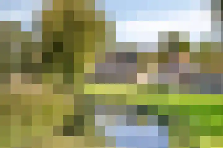 Sleutelbloem 31 Opmeer thumbnail 37