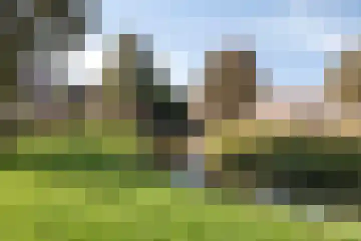 Sleutelbloem 31 Opmeer thumbnail 39