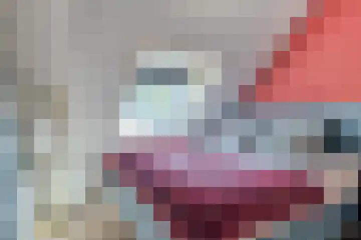 Sleutelbloem 31 Opmeer thumbnail 4