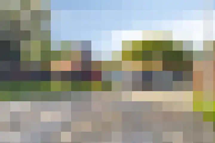 Sleutelbloem 31 Opmeer thumbnail 40