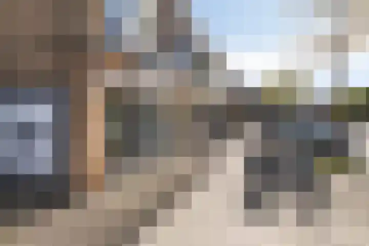 Sleutelbloem 31 Opmeer thumbnail 42
