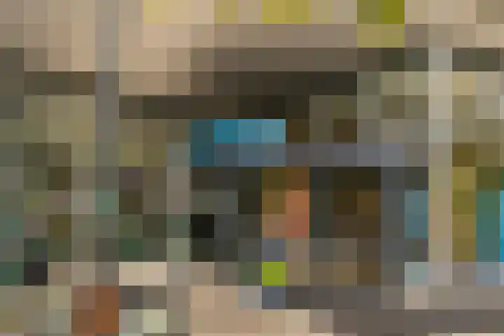 Sleutelbloem 31 Opmeer thumbnail 43