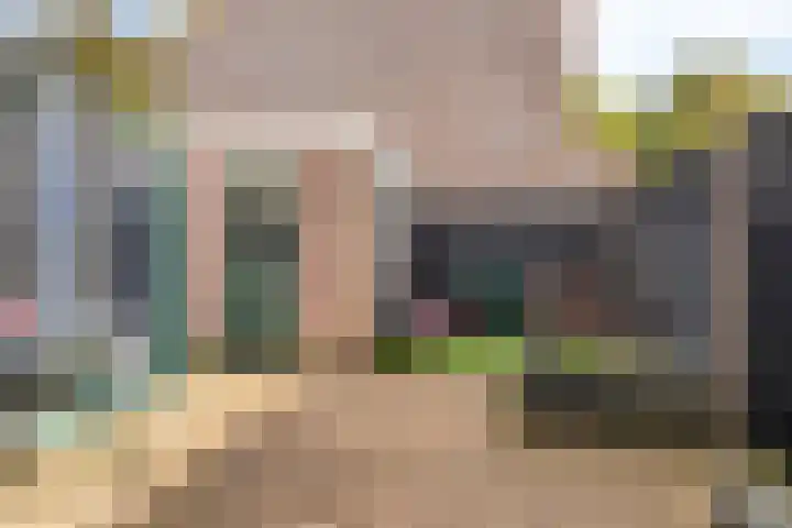 Sleutelbloem 31 Opmeer thumbnail 5