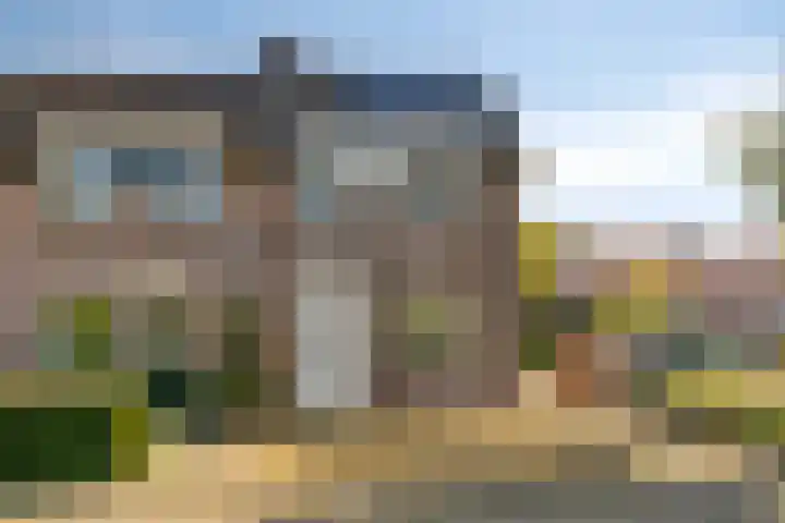 Sleutelbloem 31 Opmeer thumbnail 7