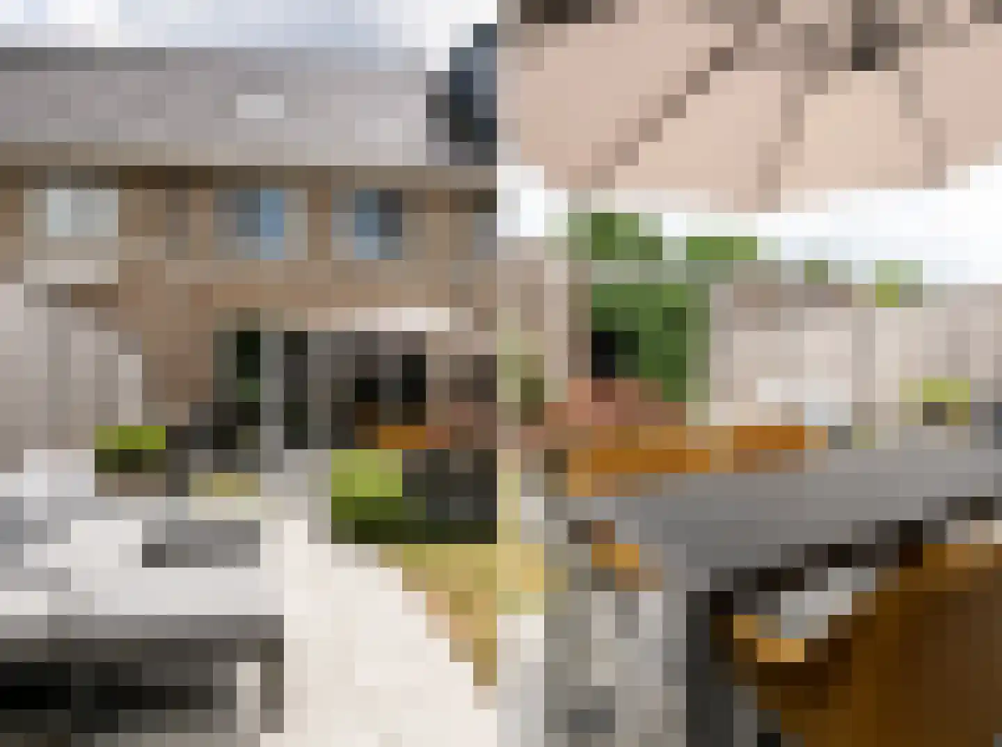 Sleutelbloem 33 Berghem thumbnail 20