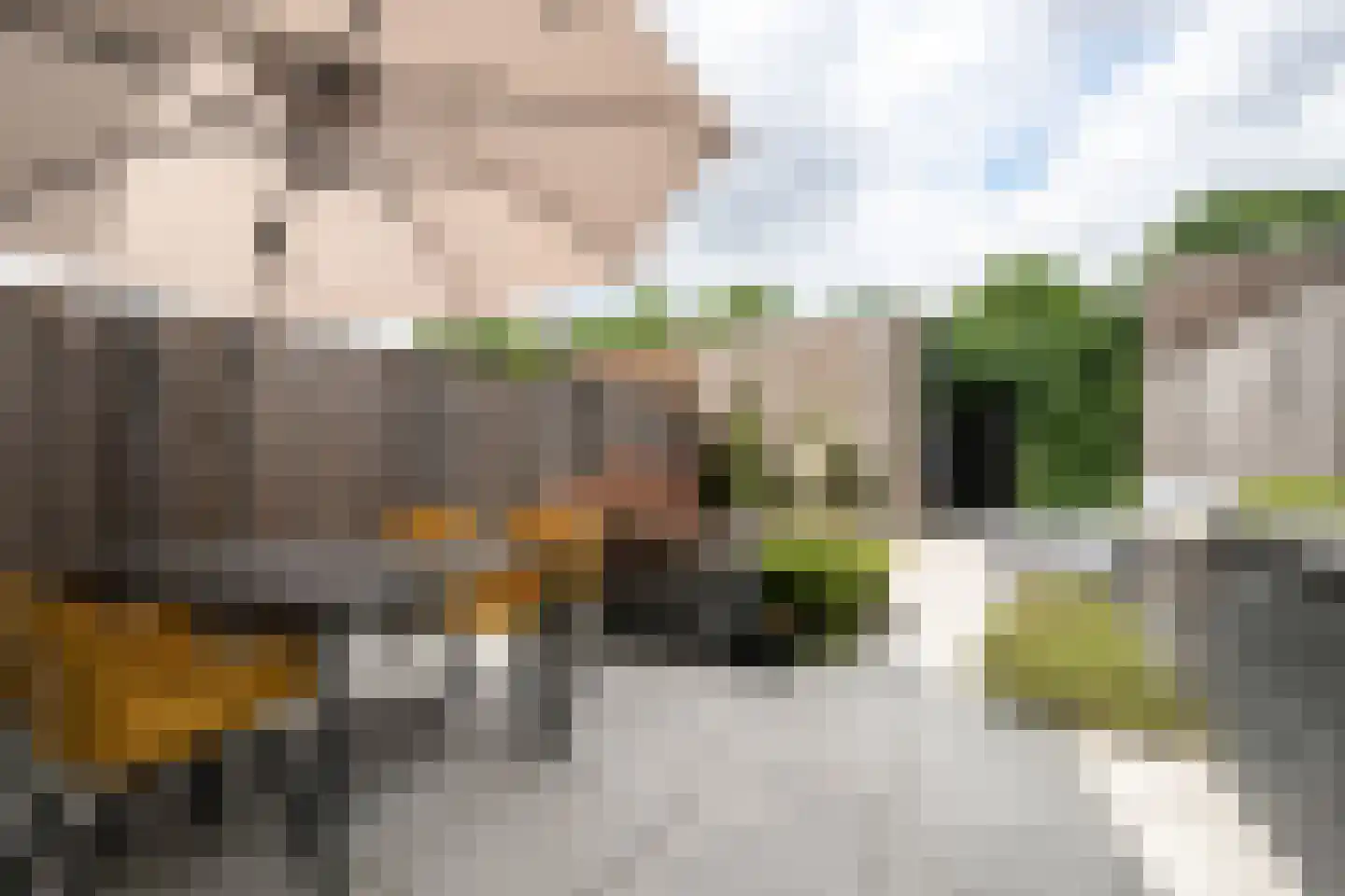 Sleutelbloem 33 Berghem thumbnail 21