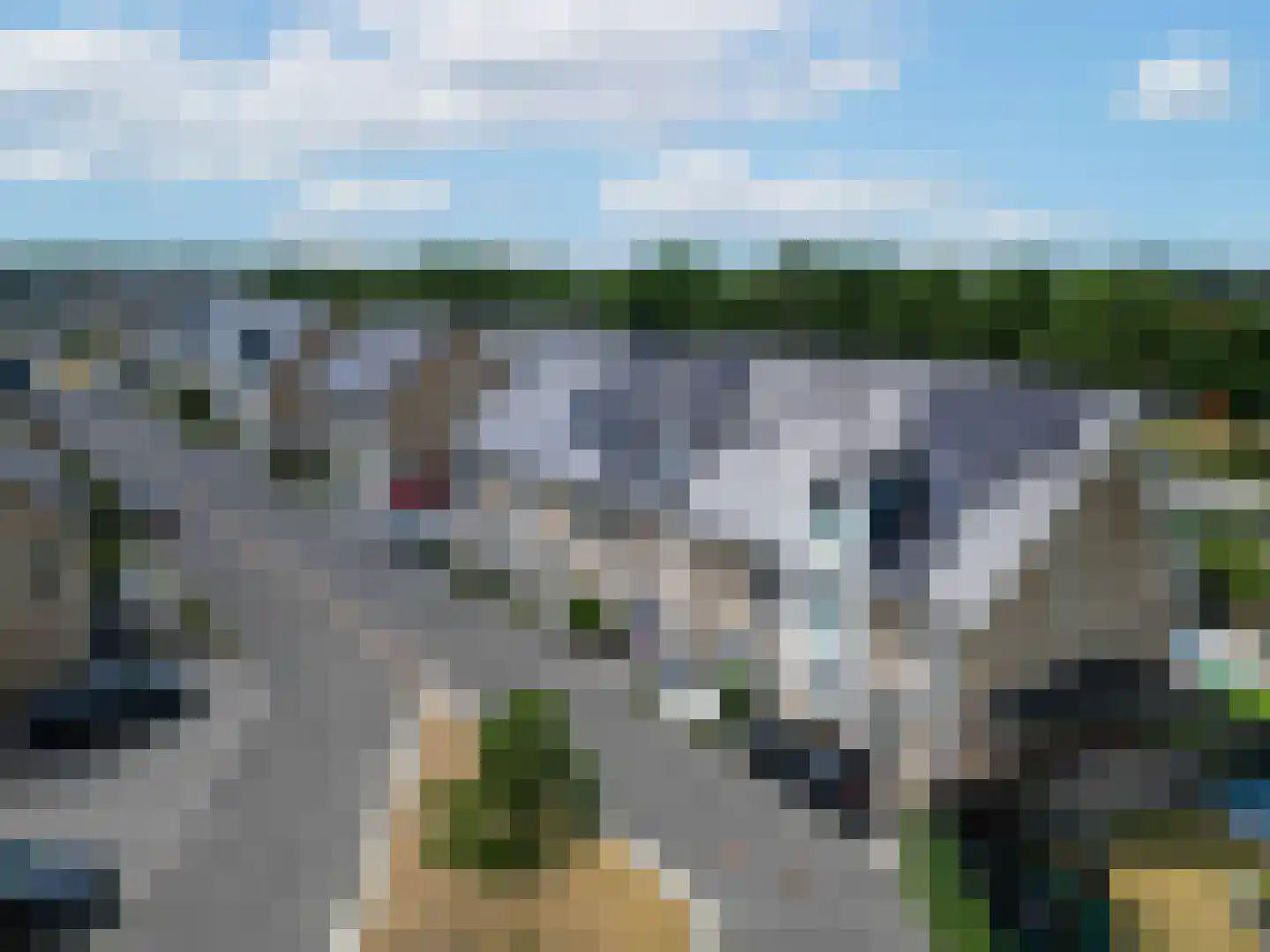 Sleutelbloem 33 Berghem thumbnail 24