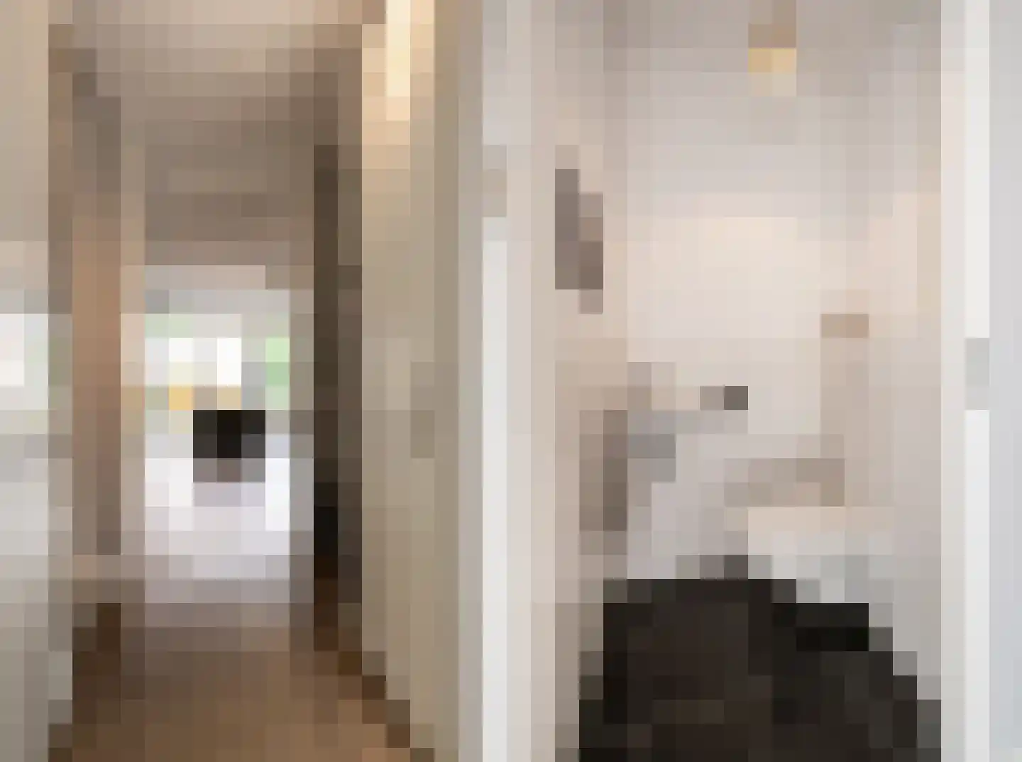 Sleutelbloem 33 Berghem thumbnail 6