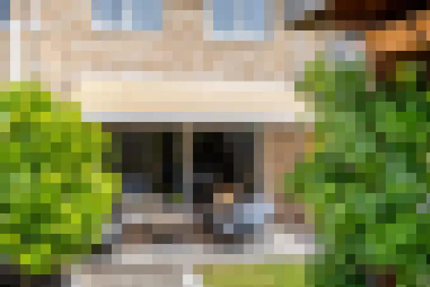 Sleutelbloem 36 Berghem thumbnail 27