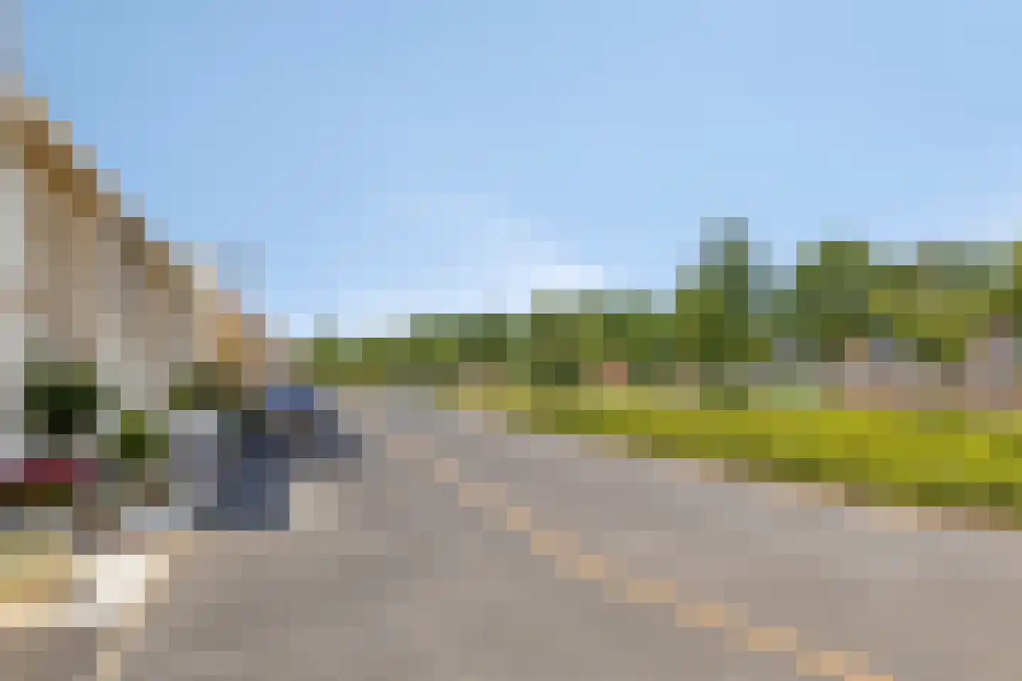 Sleutelbloem 36 Berghem thumbnail 31