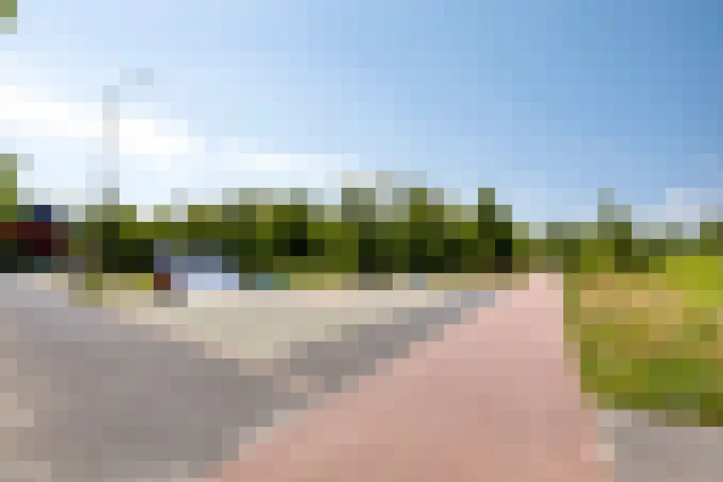 Sleutelbloem 36 Berghem thumbnail 32