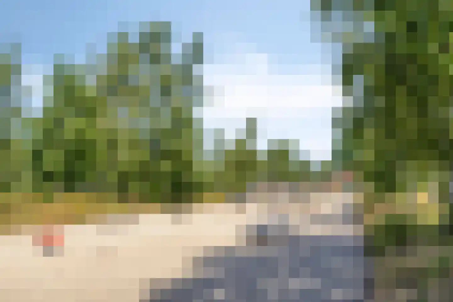 Sleutelbloem 36 Berghem thumbnail 33