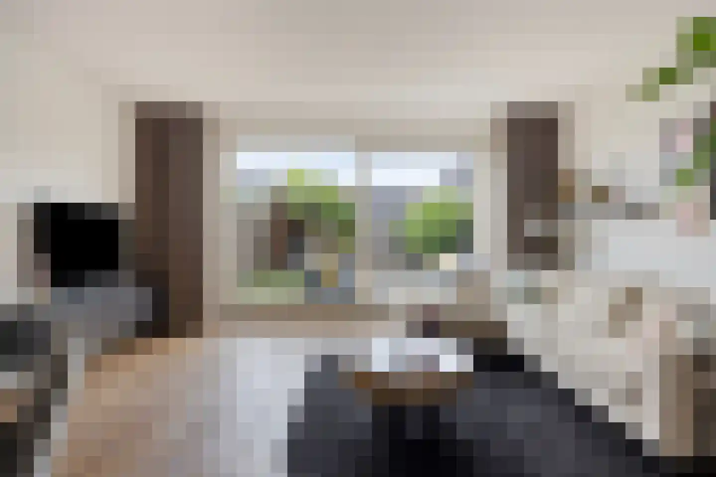 Sleutelbloem 36 Berghem thumbnail 4